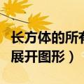 长方体的所有展开图所有画法（长方体的全部展开图形）
