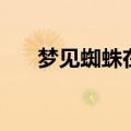 梦见蜘蛛在网上（梦见蜘蛛在身上爬）