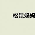 松鼠妈妈采松果（松鼠妈妈采松子）