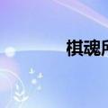 棋魂所有贴吧名  全者追加分