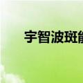 宇智波斑能力参数（宇智波斑的能力）