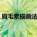 眉毛素描画法新手教程（眉毛素描画法步骤）