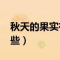 秋天的果实有哪些?简笔画（秋天的果实有哪些）