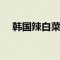 韩国辣白菜制作方法（辣白菜制作方法）