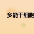 多能干细胞最新研究进展（多能干细胞）