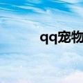 qq宠物连连看（qq宠物铁矿石）