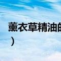 薰衣草精油的功效与用法（薰衣草精油祛痘印）