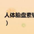 人体胎盘素针剂是什么有什么用（人体胎盘素）
