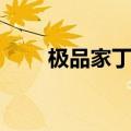 极品家丁续集亦琳（极品家丁续集）