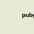 pubg辅助卡盟（至尊卡盟）