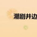 潮剧井边会回书全集（潮剧井边会）
