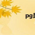 pg是谁的缩写（pg是谁）