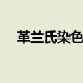 革兰氏染色的过程（革兰氏染色的意义）