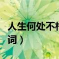 人生何处不相逢歌词含义（人生何处不相逢歌词）