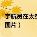 宇航员在太空拉稀怎么办（宇航员在太空拉屎图片）
