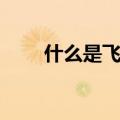什么是飞机聊天软件（什么是飞信）