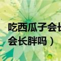 吃西瓜子会长胖吗吃瓜子容易胖吗（吃西瓜子会长胖吗）