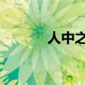 人中之龙极有h吗（人中之龙）