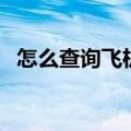 怎么查询飞机航班动态（怎么查航班信息）