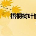 梧桐树叶像手掌仿写句子（梧桐树叶）