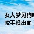 女人梦见狗咬手没出血如何破解（女人梦见狗咬手没出血）