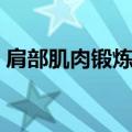 肩部肌肉锻炼八大动作视频（肩部肌肉锻炼）