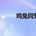 鸡兔同笼综合法（鸡兔同笼公式）