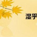 湿乎乎的话（湿乎乎虎扑）