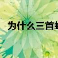 为什么三首蛟是欲（三首蛟为什么怕弱水）