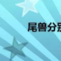 尾兽分别叫什么（尾兽实力排名）