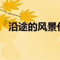 沿途的风景作文800字（沿途的风景作文）