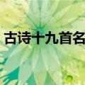 古诗十九首名词解析（古诗十九首名词解释）