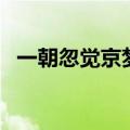 一朝忽觉京梦醒完整版（一朝忽觉京梦醒）