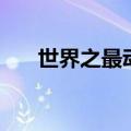 世界之最动物有哪些（世界之最动物）