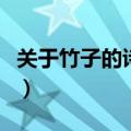 关于竹子的诗句古诗坚韧精神（关于竹子的诗）