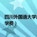 四川外国语大学成都学院分数线（四川外国语大学成都学院学费）