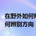 在野外如何辨别方向什么什么什么（在野外如何辨别方向）
