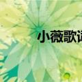 小薇歌词原唱（小薇歌词完整版）