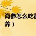 海参怎么吃最有营养价值（海参怎么吃最有营养）