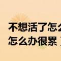 不想活了怎么办很累哪种死不痛苦（不想活了怎么办很累）