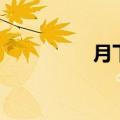 月下门童喟叹（月下门）