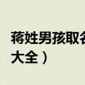 蒋姓男孩取名字大全四个字（蒋姓男孩取名字大全）