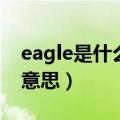eagle是什么意思翻译成中文（eagle是什么意思）