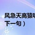 风急天高猿啸哀下一句是啥（风急天高猿啸哀下一句）