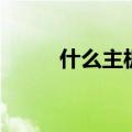 什么主板好又实惠（什么主板好）
