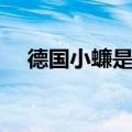 德国小蠊是害虫吗（德国小蠊怎么消灭）