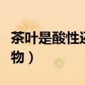 茶叶是酸性还是碱性（花生是酸性还是碱性食物）