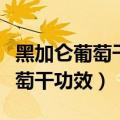 黑加仑葡萄干的功效与作用及禁忌（黑加仑葡萄干功效）