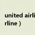 united airline has apologized（united airline）
