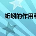 蚯蚓的作用和功效百度百科（蚯蚓的作用）